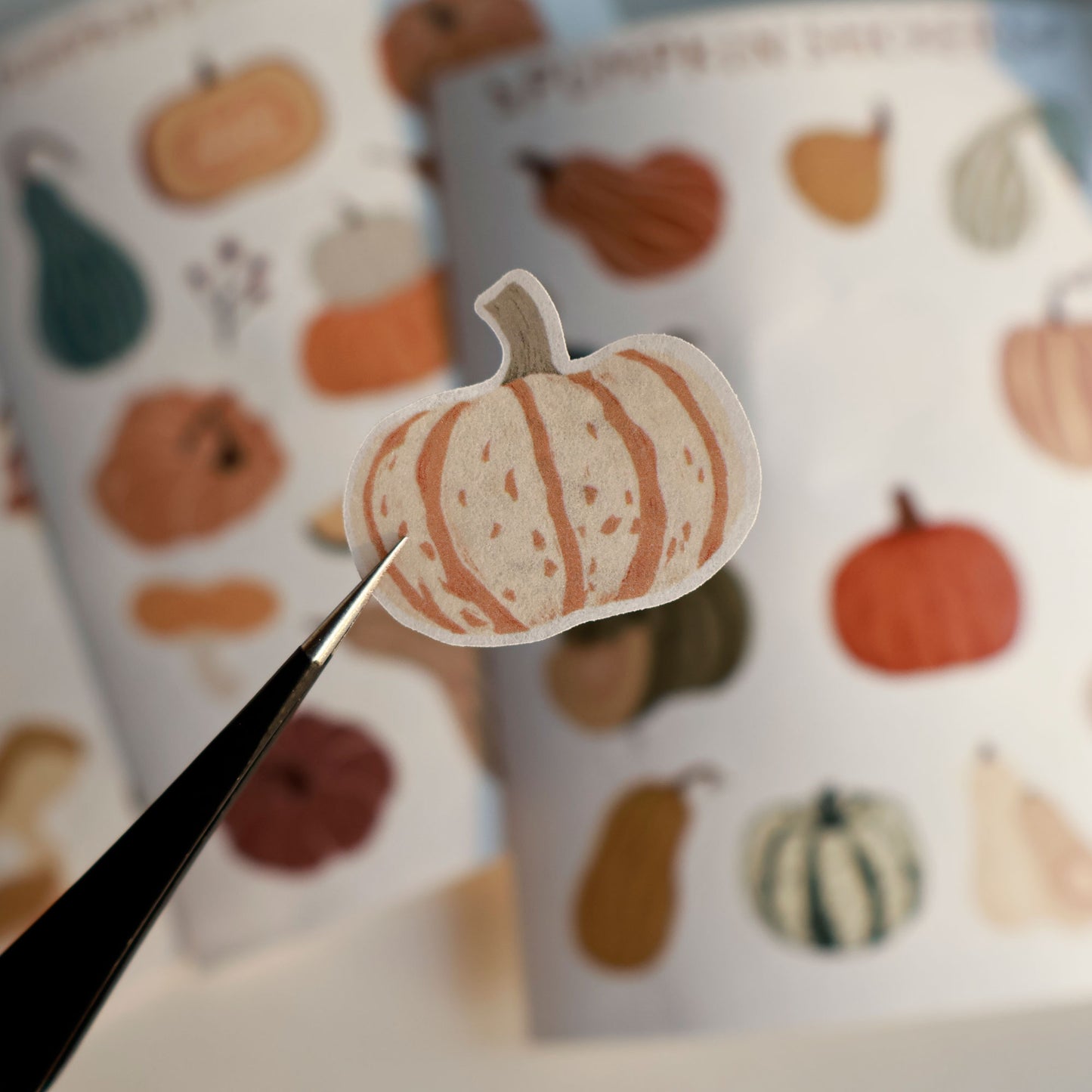 Pumpkins and Mushrooms cut die stickers and paper stickers